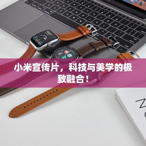 小米宣传片，科技与美学的极致融合！