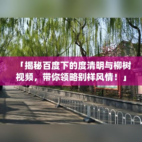 「揭秘百度下的度清明与柳树视频，带你领略别样风情！」