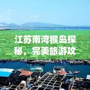 江苏南湾猴岛探秘，完美旅游攻略