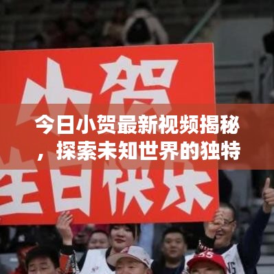 今日小贺最新视频揭秘，探索未知世界的独特魅力！