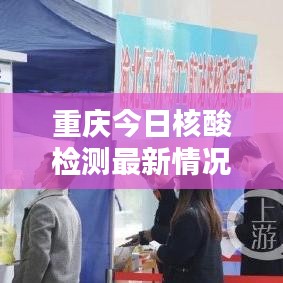 重庆今日核酸检测最新情况速递