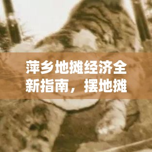 萍乡地摊经济全新指南，摆地摊攻略与实用指南