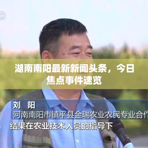 湖南南阳最新新闻头条，今日焦点事件速览