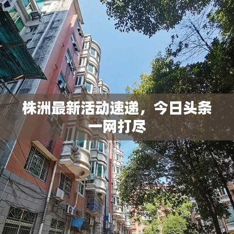 株洲最新活动速递，今日头条一网打尽