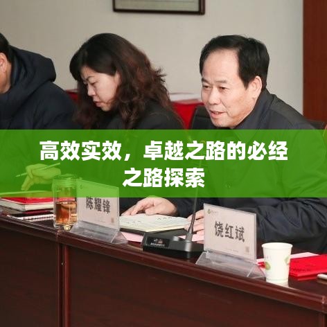 高效实效，卓越之路的必经之路探索