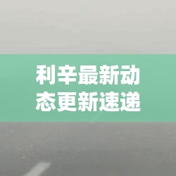 利辛最新动态更新速递
