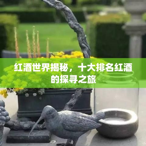 红酒世界揭秘，十大排名红酒的探寻之旅