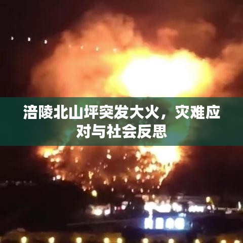 涪陵北山坪突发大火，灾难应对与社会反思