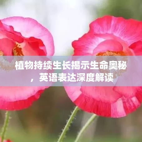 欣喜若狂