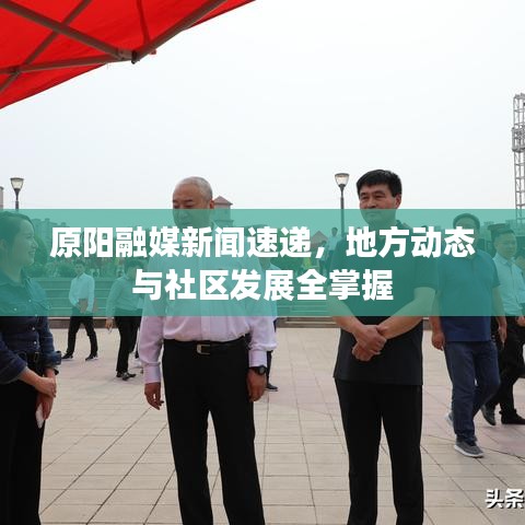 原阳融媒新闻速递，地方动态与社区发展全掌握