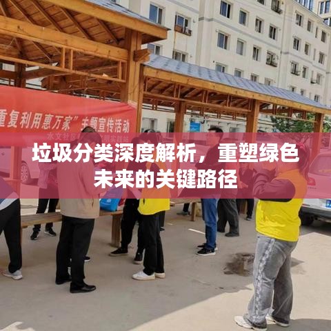 垃圾分类深度解析，重塑绿色未来的关键路径