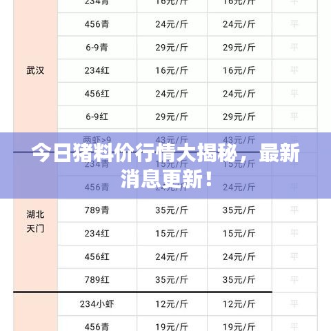 今日猪料价行情大揭秘，最新消息更新！