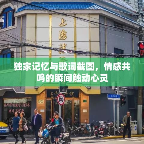 独家记忆与歌词截图，情感共鸣的瞬间触动心灵