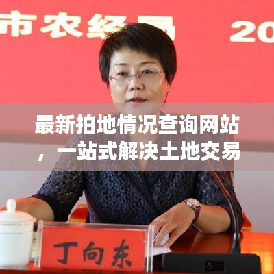 最新拍地情况查询网站，一站式解决土地交易信息，便捷下载服务
