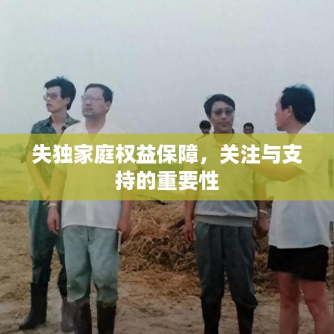 失独家庭权益保障，关注与支持的重要性