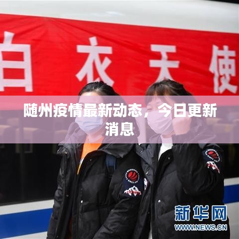随州疫情最新动态，今日更新消息
