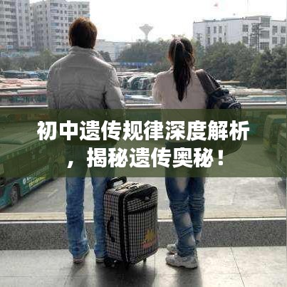 初中遗传规律深度解析，揭秘遗传奥秘！