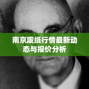 南京废纸行情最新动态与报价分析