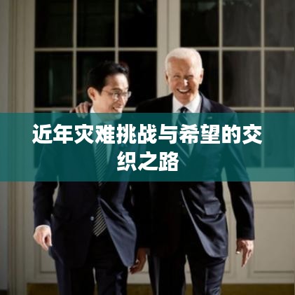 近年灾难挑战与希望的交织之路