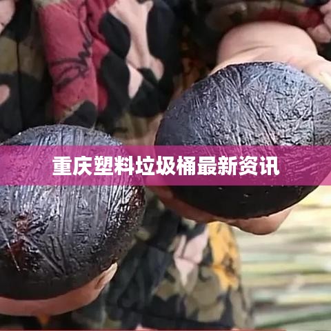重庆塑料垃圾桶最新资讯