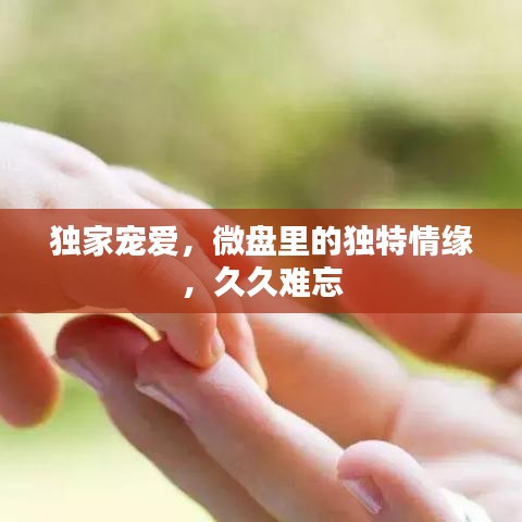 独家宠爱，微盘里的独特情缘，久久难忘