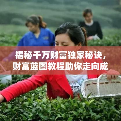 揭秘千万财富独家秘诀，财富蓝图教程助你走向成功之路