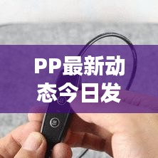 PP最新动态今日发布
