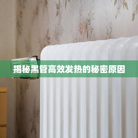 揭秘黑管高效发热的秘密原因