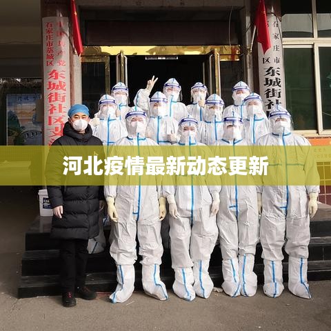 河北疫情最新动态更新