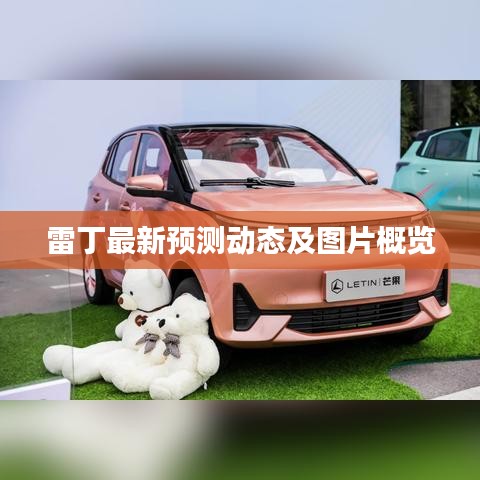 雷丁最新预测动态及图片概览