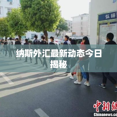 纳斯外汇最新动态今日揭秘