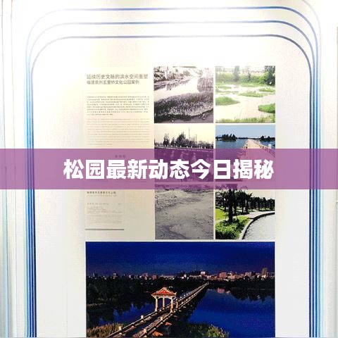 松园最新动态今日揭秘