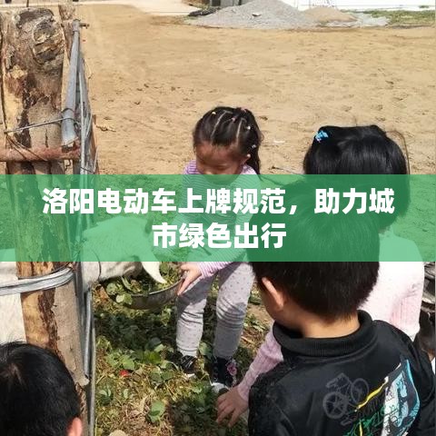 洛阳电动车上牌规范，助力城市绿色出行