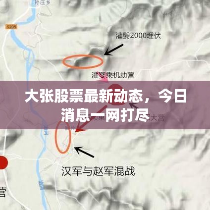 大张股票最新动态，今日消息一网打尽