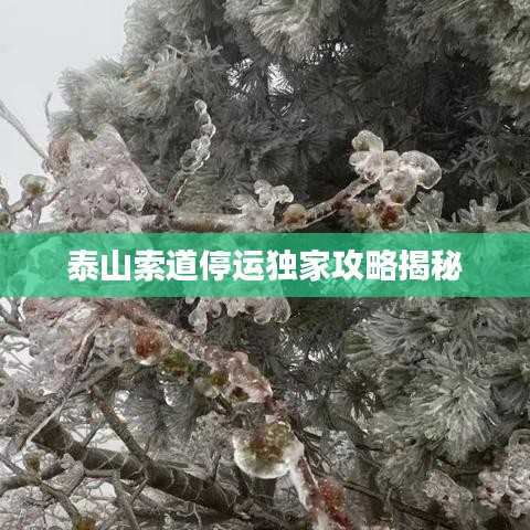 泰山索道停运独家攻略揭秘