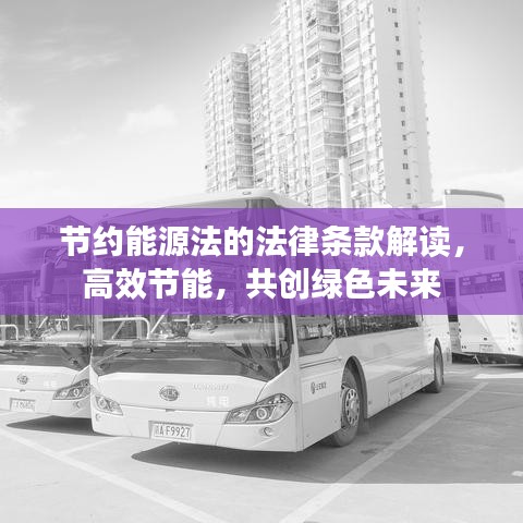 节约能源法的法律条款解读，高效节能，共创绿色未来