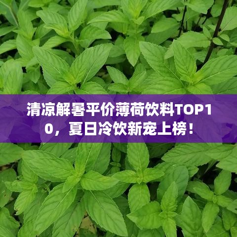 清凉解暑平价薄荷饮料TOP10，夏日冷饮新宠上榜！