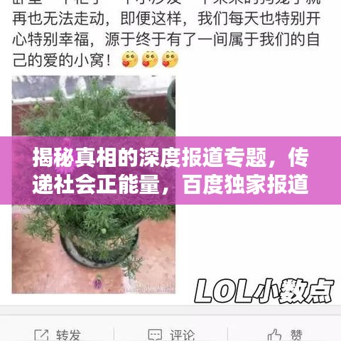 揭秘真相的深度报道专题，传递社会正能量，百度独家报道