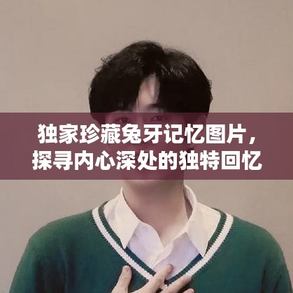 独家珍藏兔牙记忆图片，探寻内心深处的独特回忆