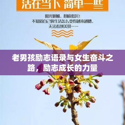 老男孩励志语录与女生奋斗之路，励志成长的力量