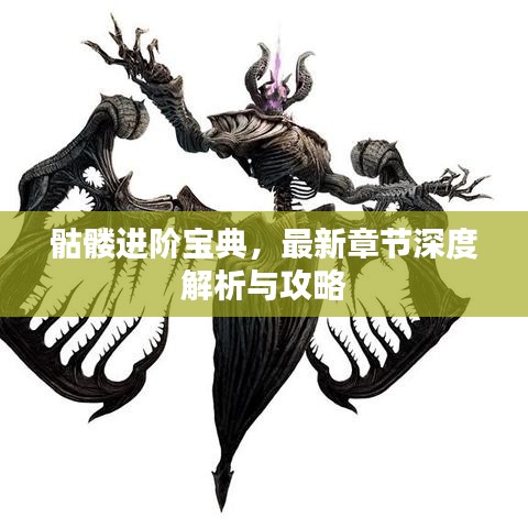 骷髅进阶宝典，最新章节深度解析与攻略