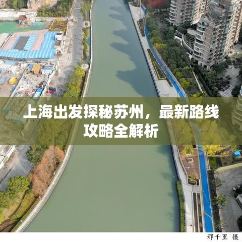 一毫不苟