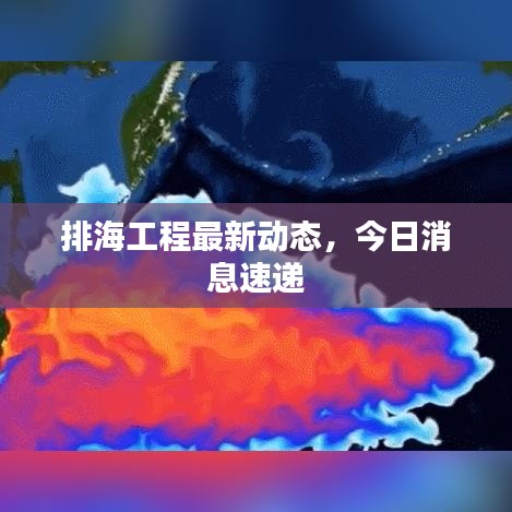 排海工程最新动态，今日消息速递