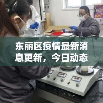 东丽区疫情最新消息更新，今日动态速递