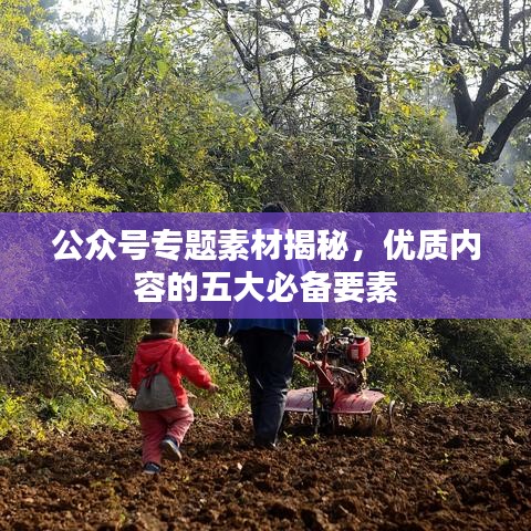 公众号专题素材揭秘，优质内容的五大必备要素