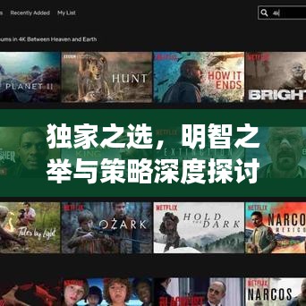 独家之选，明智之举与策略深度探讨