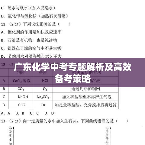 广东化学中考专题解析及高效备考策略