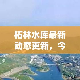 柘林水库最新动态更新，今日消息一网打尽