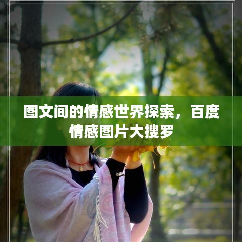 图文间的情感世界探索，百度情感图片大搜罗