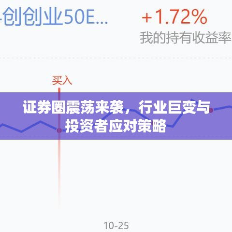 证券圈震荡来袭，行业巨变与投资者应对策略